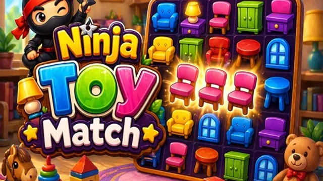 Ninja Toy Match